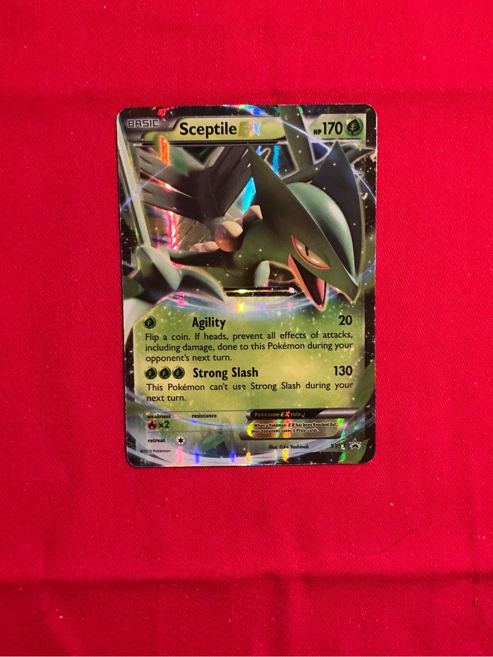 The Pokémon Company Pokémon TCG Sceptile EX XY53 XY Holo Promo English 2015 170